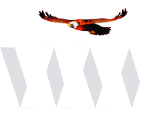 Footer Logo
