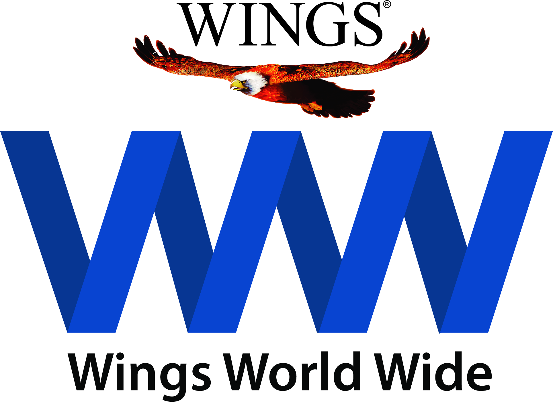 WWW Logo